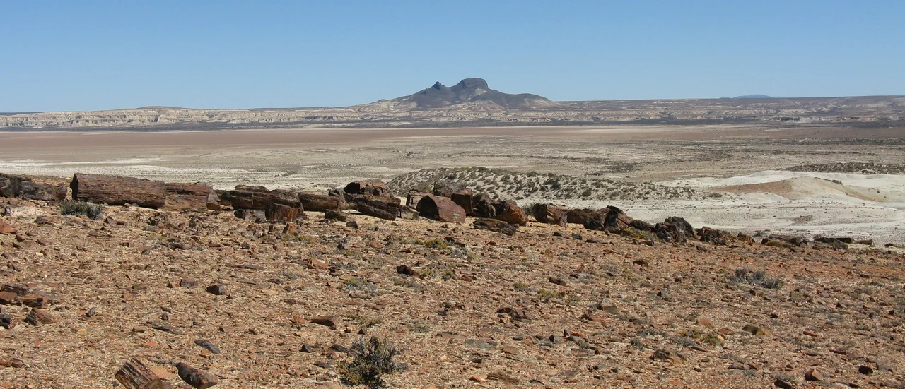 Cerros Madre e Hija - Bosque Petrificado Jaramillo - Santa Cruz - Argentina