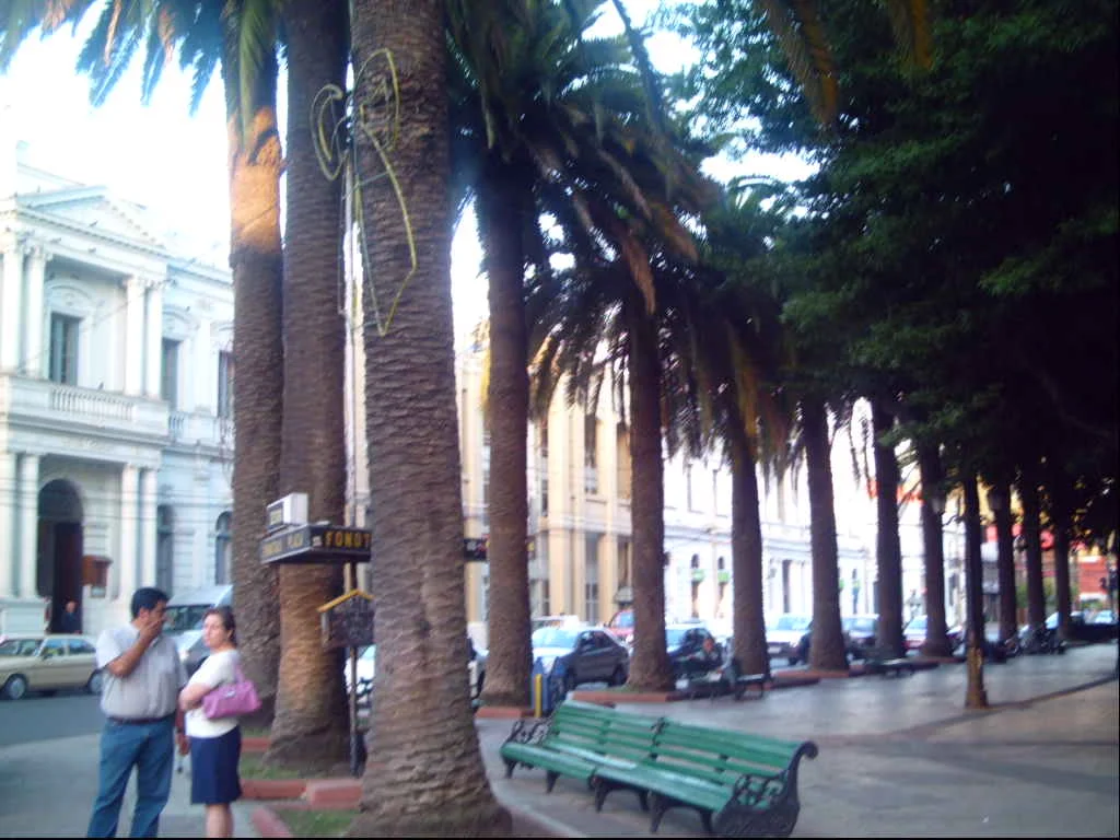Square Park of Curico, Chile(Plaza de Armas de Curicó, Chile)