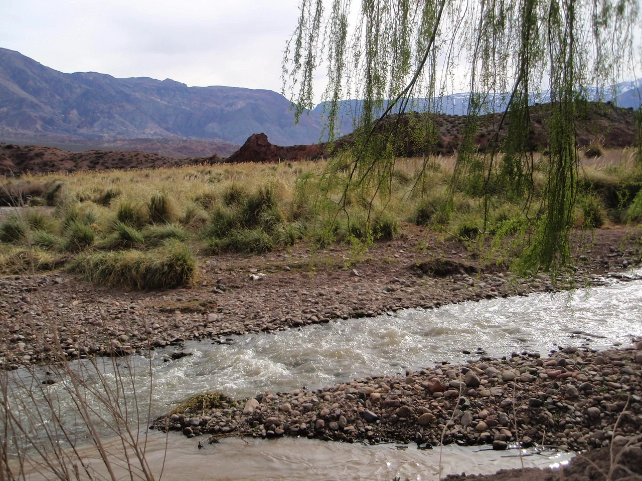 Typical landscape from Uspallata