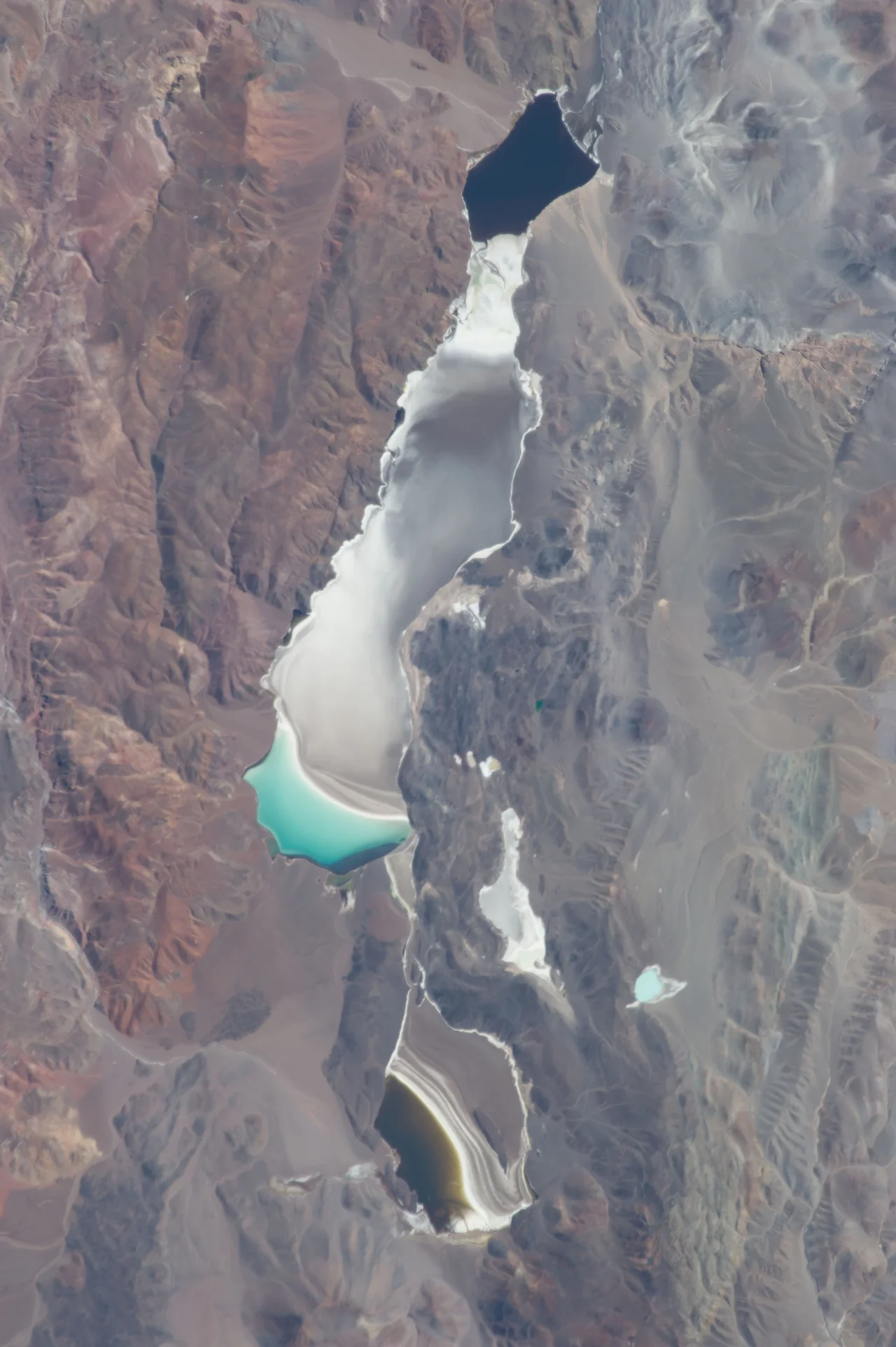 This striking and detailed astronaut photograph from the International Space Station shows water of different color within subbasins of the Laguna (lake) Verde in the high Andes of northwest Argentina. The lake floor as a local low point lies at 4095 m (13,438 feet) above sea level, whereas the peak of the local volcano west of the lake (not shown) reaches over 3000 meters higher (6818 m, 22,368 feet). Laguna Verde (58 km wide, 36 km long) often appears green, giving rise to its formal name.
This image shows the turquoise tint in the central subbasin (image center), with a yellow to black tinge to water in the southern subbasin at image left (also known locally as Laguna Negro). The northernmost basin at image right appears quite black, and the large gray zone comprising much of the rest of Laguna Verde is likely a combination of shallow water, only inches deep, and sunglint reflecting off the water surface. The reason for the color differences lays in the fact the many different families of salt-loving organisms occupy hypersaline lakes such as Laguna Verde. These appear as different colors - often bright -- depending on the salinities and temperatures of each water body or subbasin.
The rest of the lake floor is dry and appears white from the build-up of thick salt deposits. Parallel lines around the southern subbasin (Laguna Negro) indicate prior shorelines of this shrinking water body - evaporation removes water but leaves ephemeral shorelines marked with white salt.