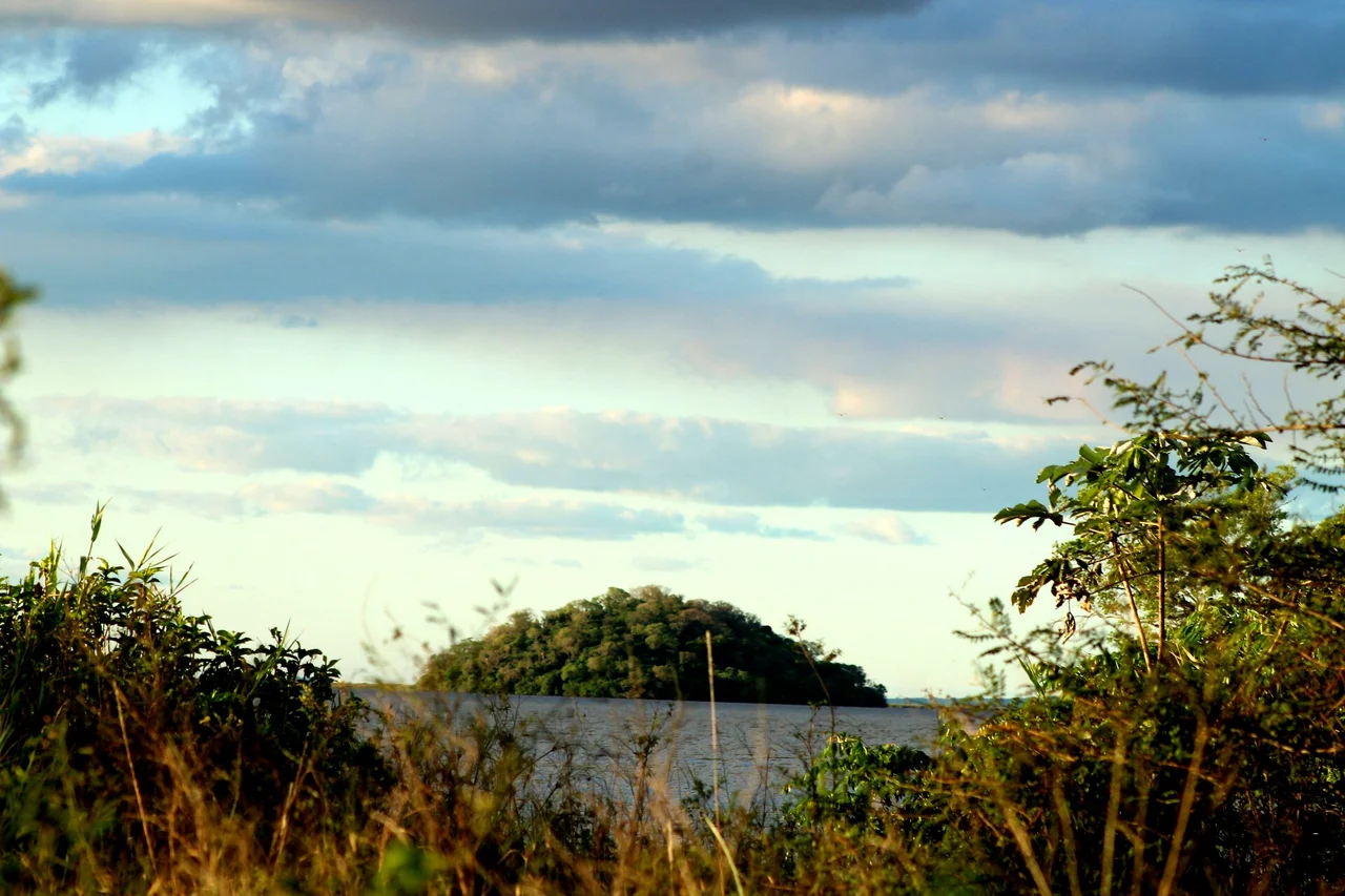 Isla flotante