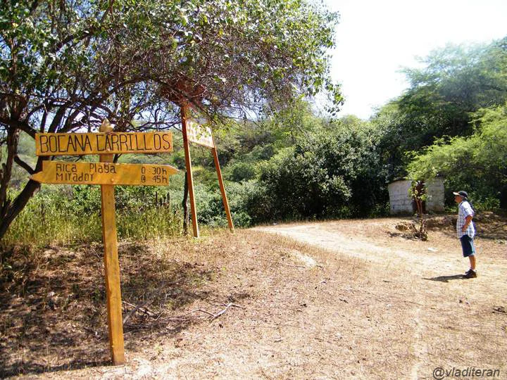 Bosque seco ecuatorial de Tumbes Perú
