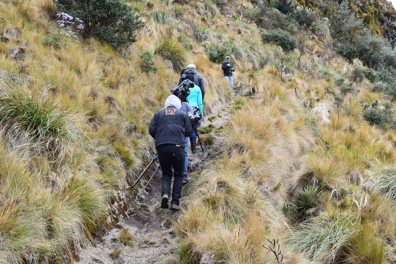 Parque Nacional Llanganates- Laguna de Anteojos (6)