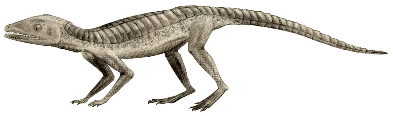 Life restoration of Hoplosuchus kayi
