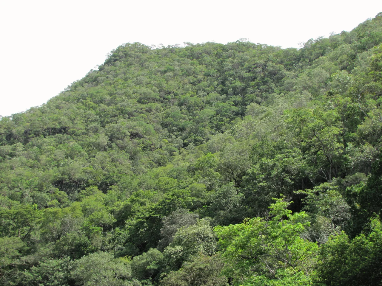 Barra do Garças - MT - Brazil