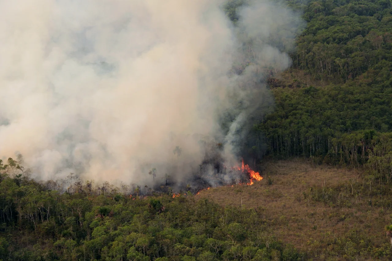 Prevfogo/Ibama combate incêndio florestal no Parque Indígena do Xingu, no Mato Grosso.

Foto: Vinícius Mendonça - Ascom/Ibama