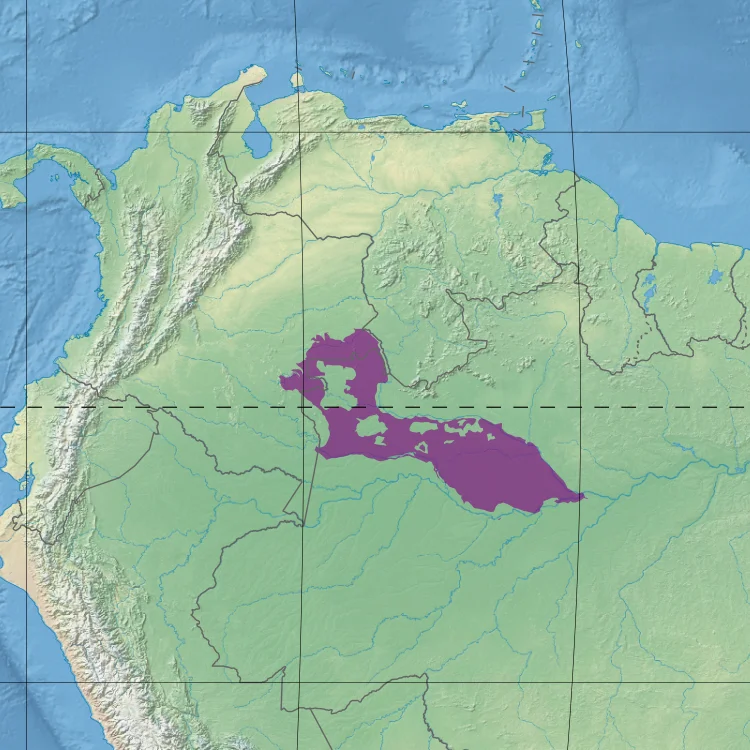 Ecoregion NT0132 - Japura-Solimoes-Negro moist forests (in purple)