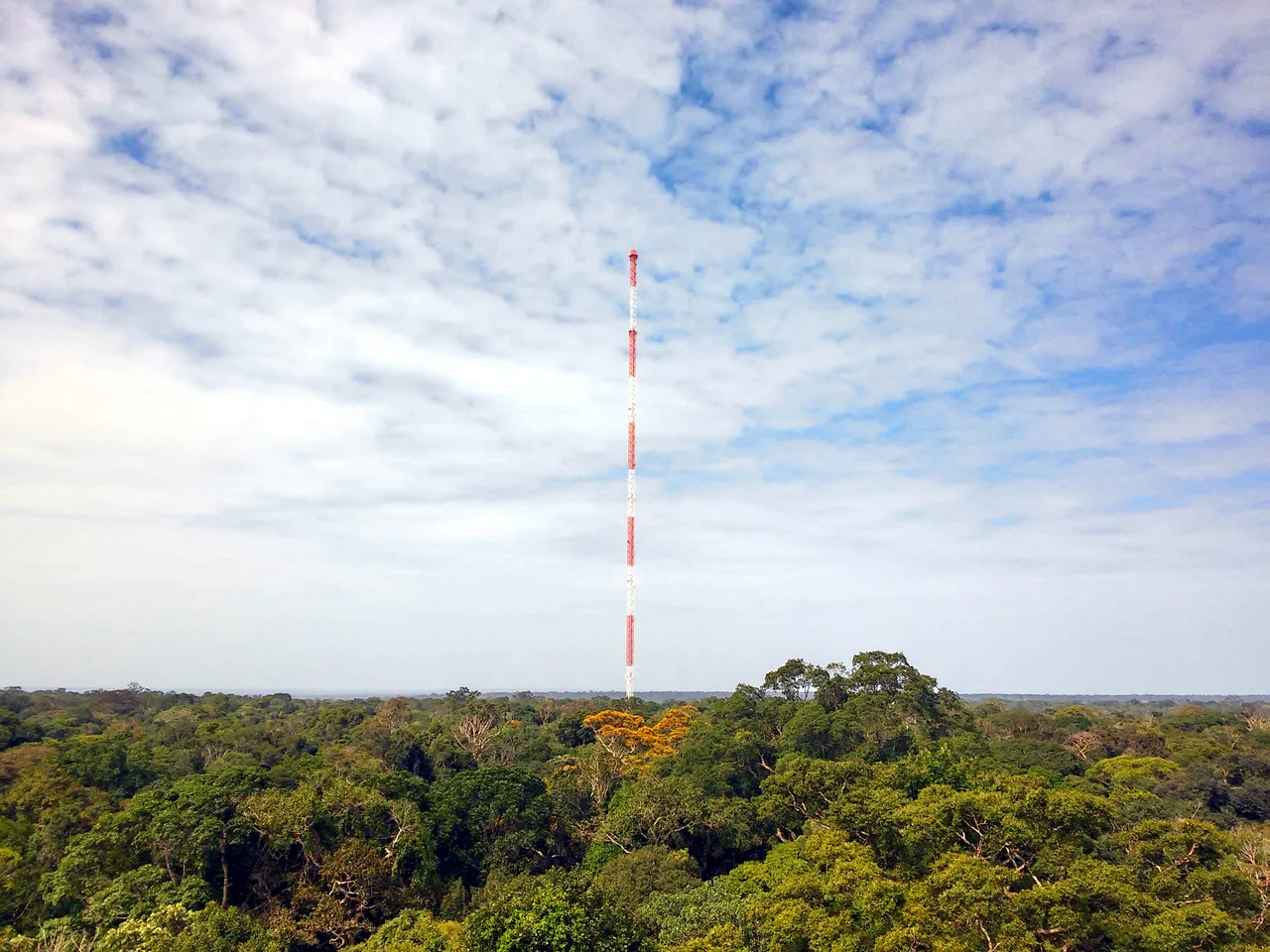 View of the ATTO tower from one of the 80-m towers.
Date: 05 Feb 2015