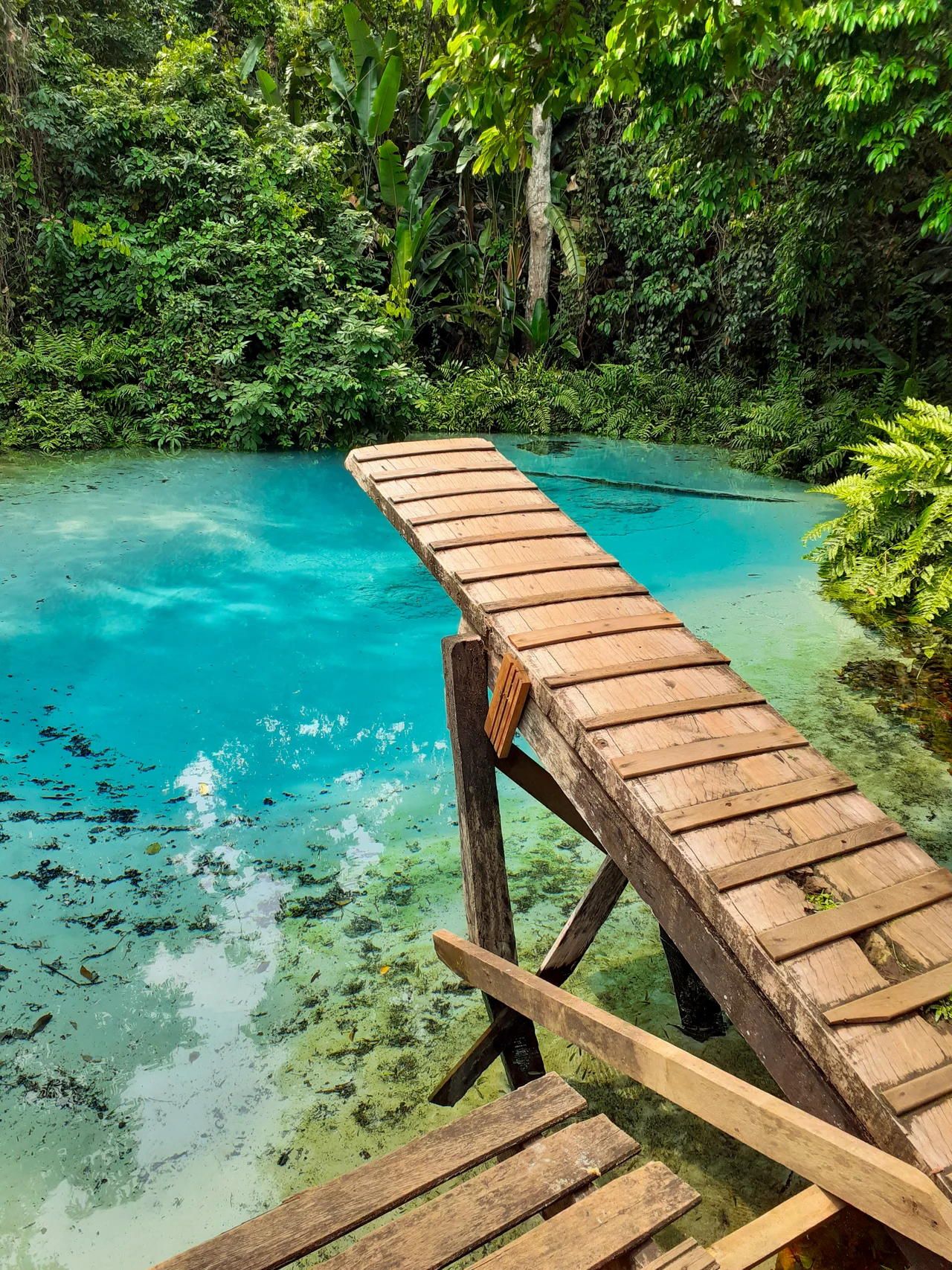Piscina natural localizada no início da Floresta Nacional do Jamanxim de nível Federal, localizado (a) em Itaituba (PA), Novo Progresso (PA).