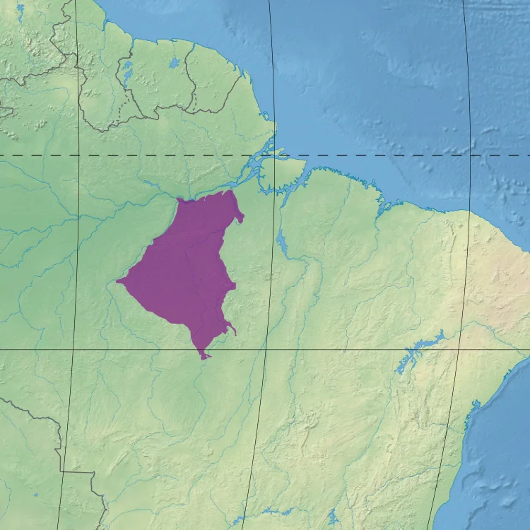 Ecoregion NT0168 - Tapajós-Xingu moist forests (in purple)