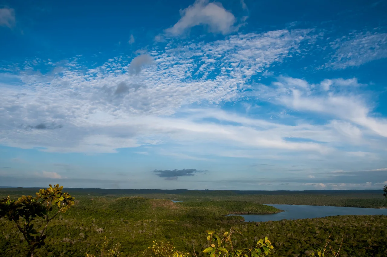 A Floresta Nacional do Tapajós é uma importante unidade de conservação da natureza localizada na Amazônia, mais precisamente às margens do Rio Tapajós, na região do estado do Pará.
Criada em 1974, é a unidade de conservação federal na categoria de floresta nacional que mais abriga pesquisa científica no país – 65 pesquisas em 2013 (SISBIO, 2014).
Com aproximadamente 527.000 hectares – mais de 160 quilômetros de praias – a unidade apresenta grande diversidade de paisagens: rios, lagos, alagados, terra firme, morros, planaltos, floresta, campos, açaizais, etc...
A cobertura florestal fortemente preservada, o Rio Tapajós com suas águas verdes e mornas, e a enorme beleza cênica da região tornam Floresta Nacional do Tapajós uma das unidades de conservação mais visitadas na região norte do Brasil.
Além das qualidades ambientais a Floresta Nacional do Tapajós também apresenta expressiva riqueza sociocultural, representada por aproximadamente 500 indígenas da Etnia Munduruku, divididos em três aldeias – Bragança, Marituba e Takuara.

Essa riqueza cultural também é representada pelos mais de 5000 moradores tradicionais – populações ribeirinhas com hábitos culturais próprios – que vivem em 25 comunidades na região, desde antes da criação da unidade.