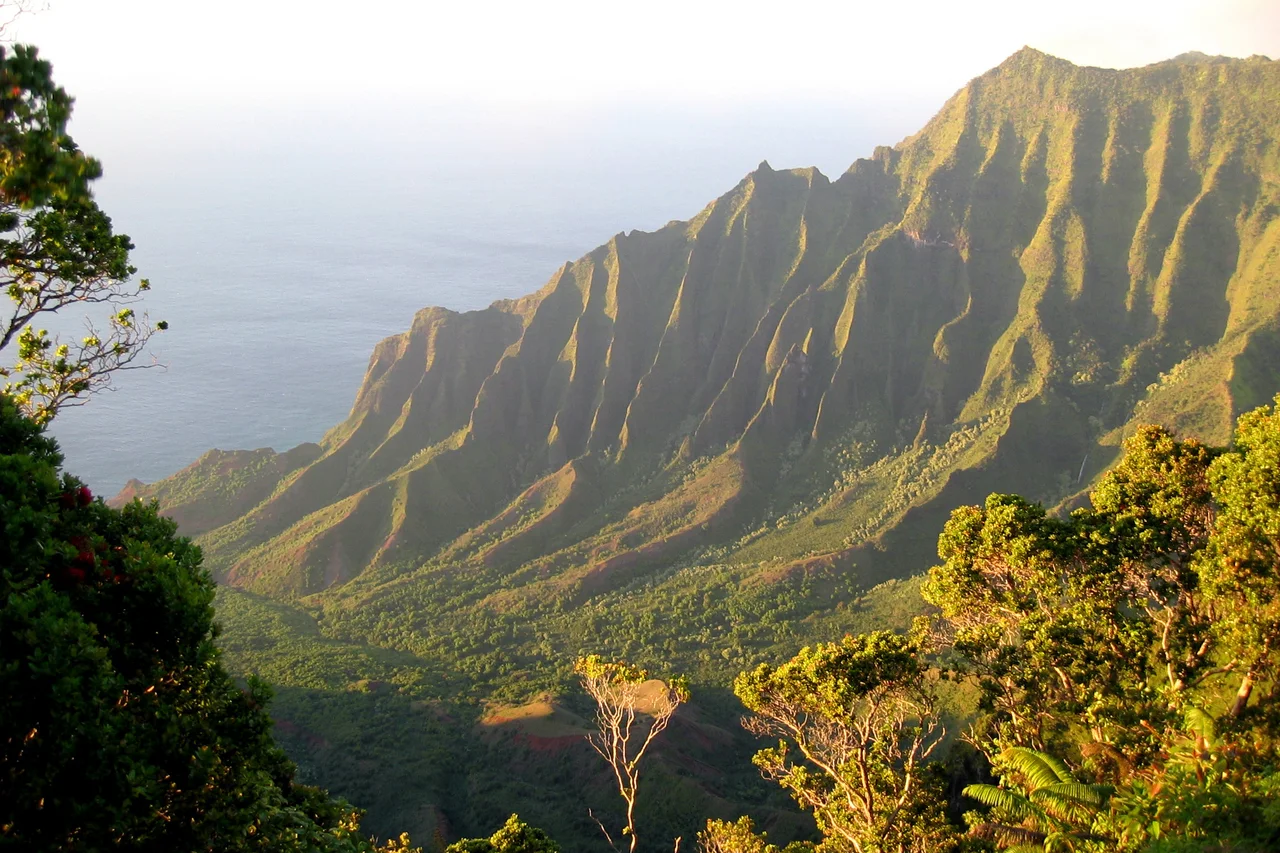 Overlooking the Kalalau Valley and the eroded, green cliffs of the Na Pali Coast in late-afternoon light.  From an overlook along Rt 550 in the Koke'e State Park, Kauai Island, Hawaii.