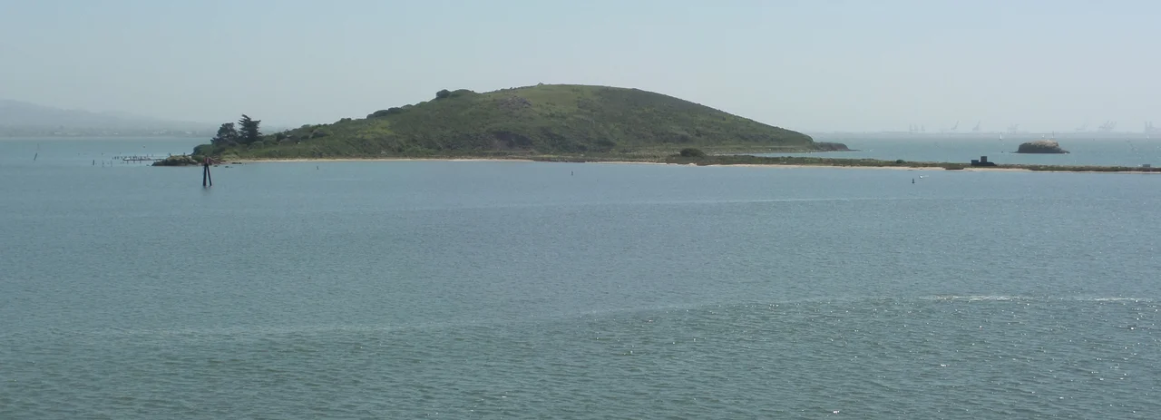 View of the main portion of en:Brooks Island, San Francisco Bay. To the right of the image can be seen the sandy spit that extends about 1 mile west of the main island. Beyond the spit is the small rock of Bird island. The cranes of the Port of Oakland can be seen in the distance. The photograph was taken looking southeast from the deck of the en:SS Red Oak Victory moored at Kaiser Shipyard No. 3, at Point Potrero in en:Richmond, California
