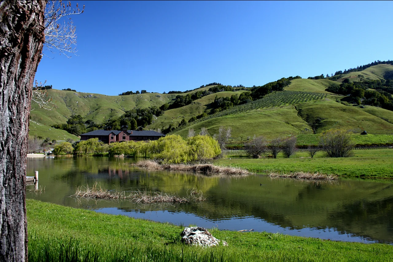 Lake Ewok with the Tech Building in the background where Skywalker Sound is housed.