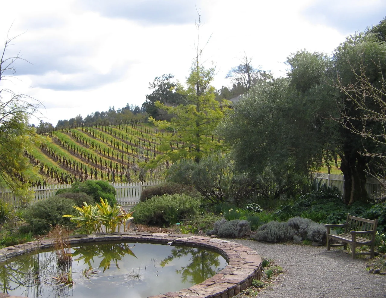 Garden behind Jack London's Cottage.
Jack London State Historic Park, Glen Ellen, California.