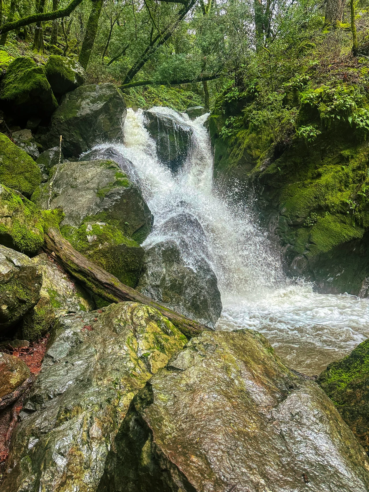 Sonoma Creek waterfall in Sugarloaf Ridge State Park