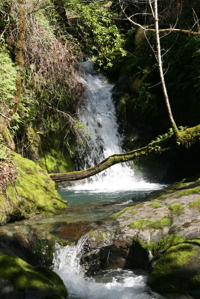 Waterfall at the Galbreath Wildlands Preserve.