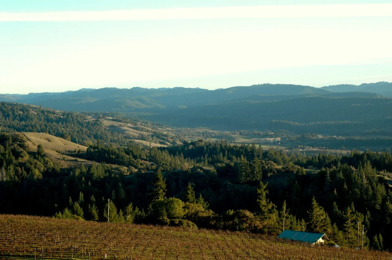 View from Esterlina Winery of the California wine region of the Anderson Valley.
