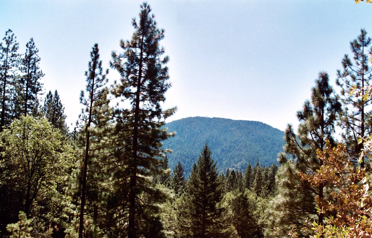 Photo of Cobb Mtn, taken from Boggs State Forest, California