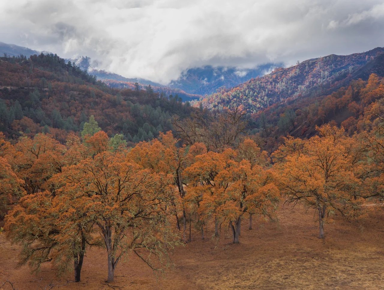 The Berryessa Snow Mountain National Monument, jointly managed by the BLM and U.S. Forest Service, encompasses nearly 331,000 acres of public land in the heart of northern California’s Inner Coast Range. Rising from near sea level in the south to over 7,000 feet in the mountainous north, and stretching across nearly 100 miles and dozens of ecosystems, the area possesses a richness of species that is among the highest in California and has established the area as a biodiversity hotspot. A part of the BLM’s National Conservation Lands, the Monument offers a wide range of outdoor activities, including hiking, hunting, fishing, camping, off-highway vehicle use, horseback riding, mountain biking and rafting.
Photo by Jesse Pluim, BLM