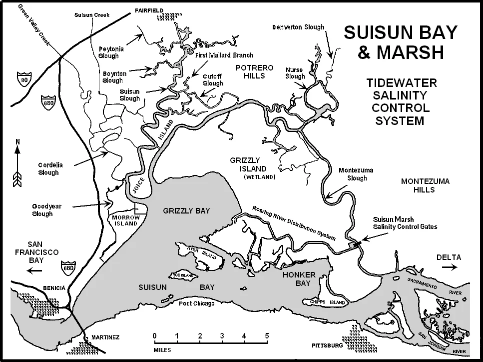 Montezuma Slough, to the north and east of Grizzly Island, is the key to wetland management in the Suisun Marsh.