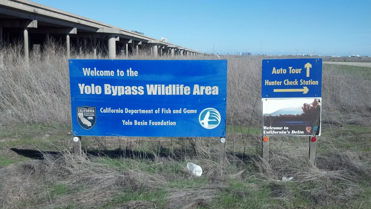 The entrance to the Yolo Bypass Wildlife Area,  with the Yolo Causeway to the left —  in the northern Sacramento–San Joaquin River Delta.

Located in the Sacramento Valley, Yolo County, northern California.
Photo by Jim Heaphy.