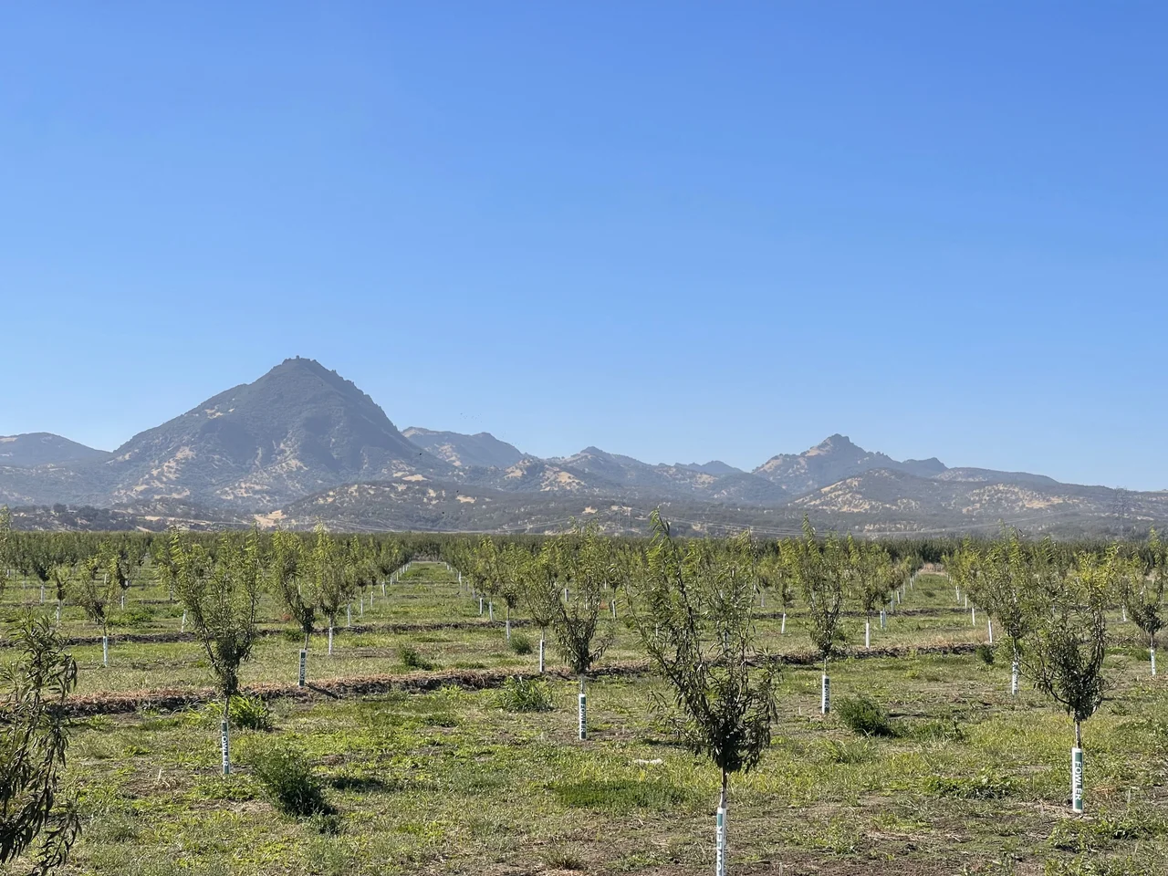 A private orchard along the perimeter of the mountain range