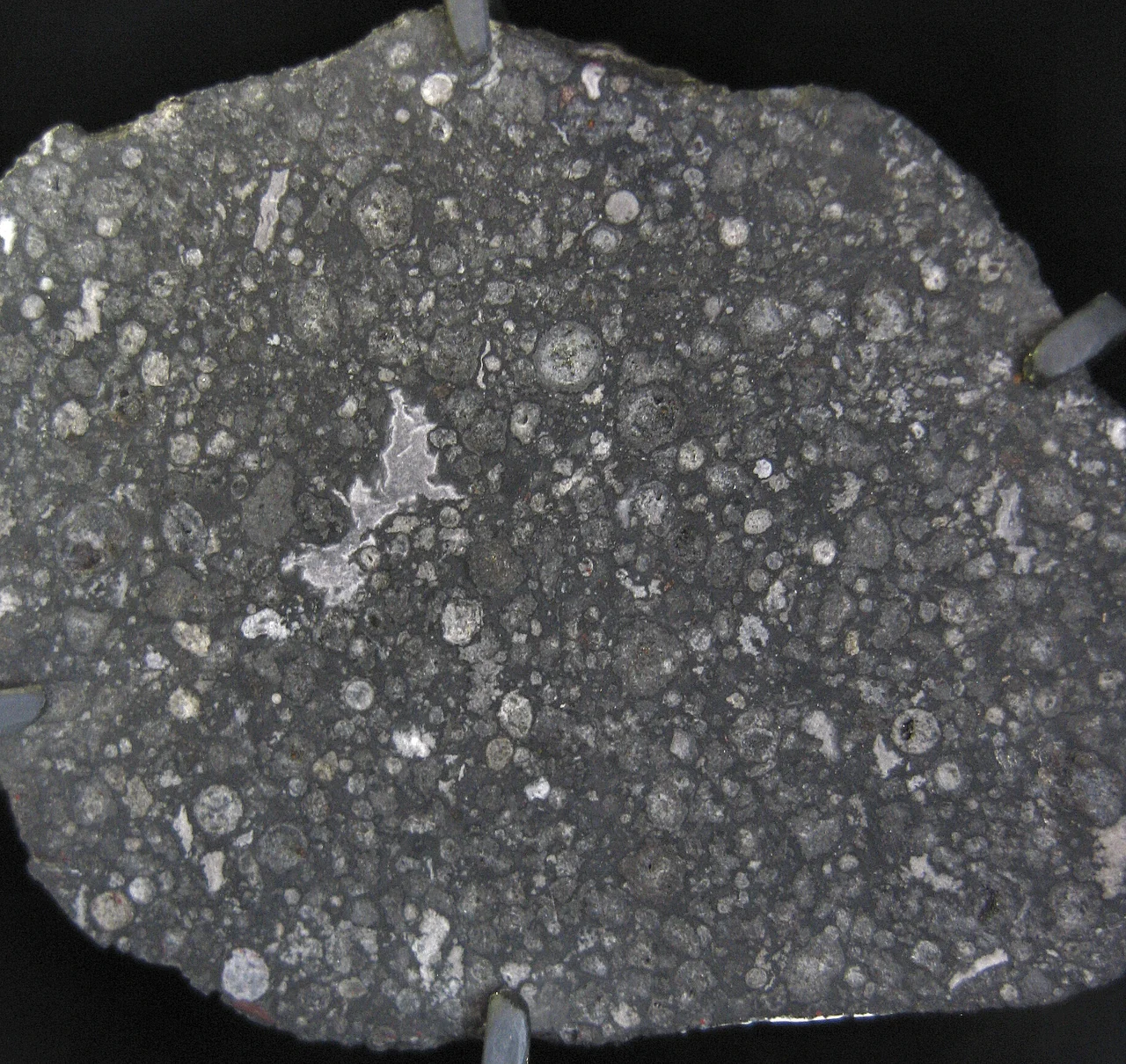 A slice from the 4.5-billion-year-old Allende meteorite. This rock was formed along with the solar system.