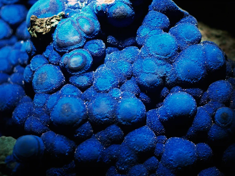 Azurite (botryoidal)
Trigonal copper carbonate
Bisbec, Cochise County, Arizona, USA

Wikipedia Loves Art at the Houston Museum of Natural Science
This photo of item # [1] at the Houston Museum of Natural Science was contributed under the team name "Assignment_Houston_One" as part of the Wikipedia Loves Art project in February 2009. Houston Museum of Natural Science

The original photograph on Flickr was taken by sulla55—please add a comment to the original Flickr page whenever a use has been made on Wikipedia or another project.
Project galleries on Flickr: this institution,  this team