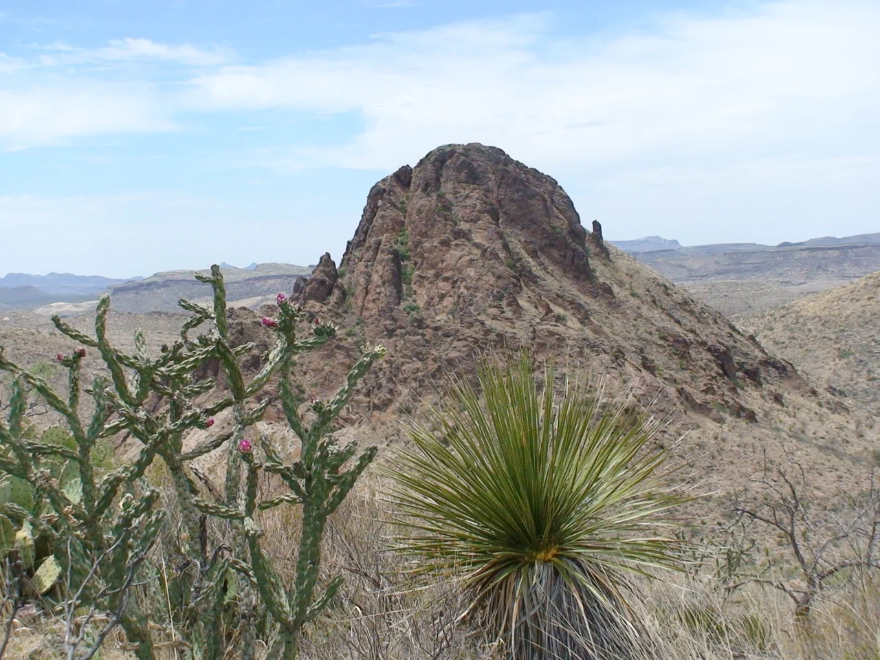 Solitario Peak (4786 ft) in Big Bend Ranch State Park.