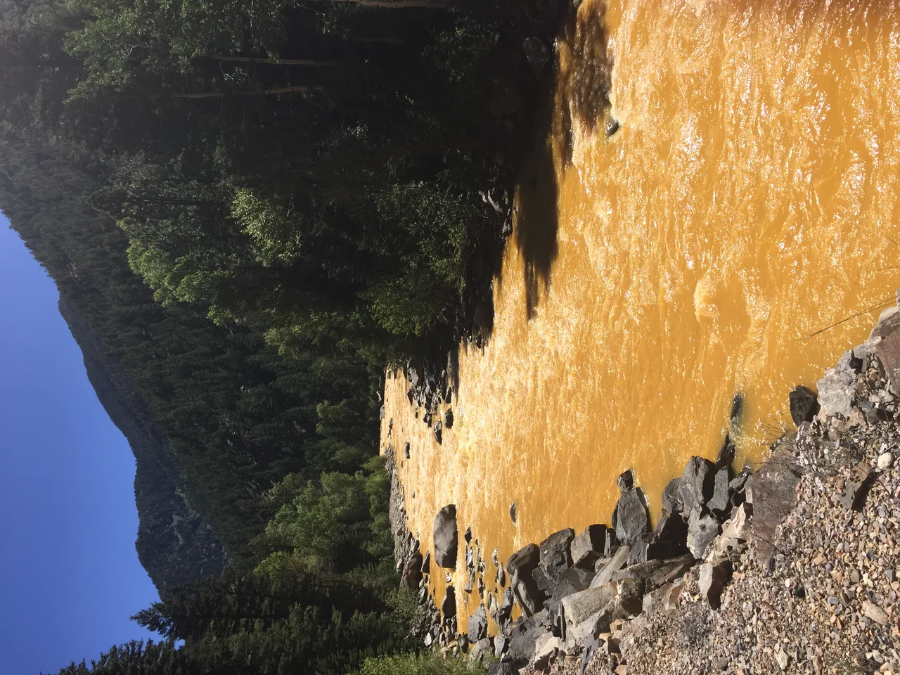 The Animas River between Silverton and Durango in Colorado, USA, within 24 hours of the 2015 Gold King Mine waste water spill.