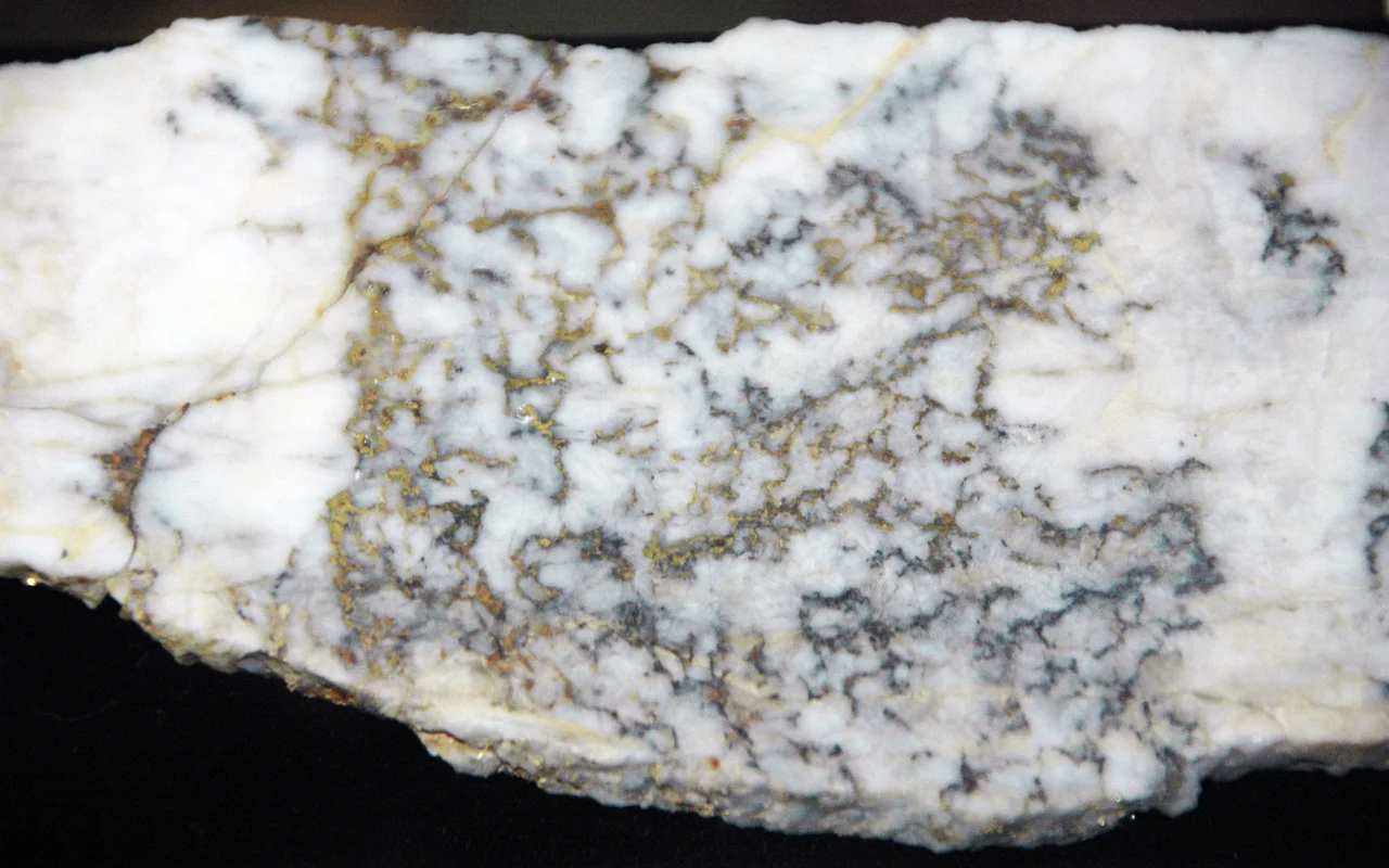 Gold-quartz-sulfide hydrothermal vein from the Tertiary of Colorado, USA. (public display, Leadville Mining Museum, Leadville, Colorado, USA)
This is a gold ore sample from the Camp Bird Mine in southwestern Colorado's San Juan Mountains. The mineralization here occurs in hydrothermal veins hosted in Tertiary volcanic rocks. The whitish material is quartz (SiO2). The deep metallic yellow-colored material is native gold (Au). The dark gray material is sulfide.
Locality: Camp Bird Mine, near Ouray, San Juan Mountains, southwestern Colorado, USA