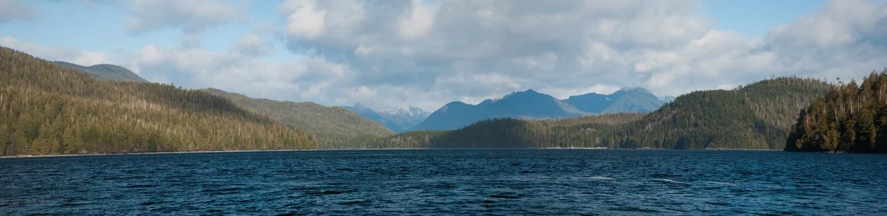 Tofino - Panorama
