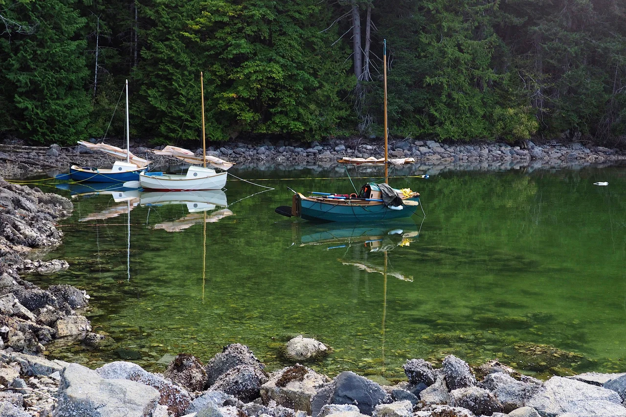 Sunrise on Cortes Island, B.C. Photo credit: Stephen Hui