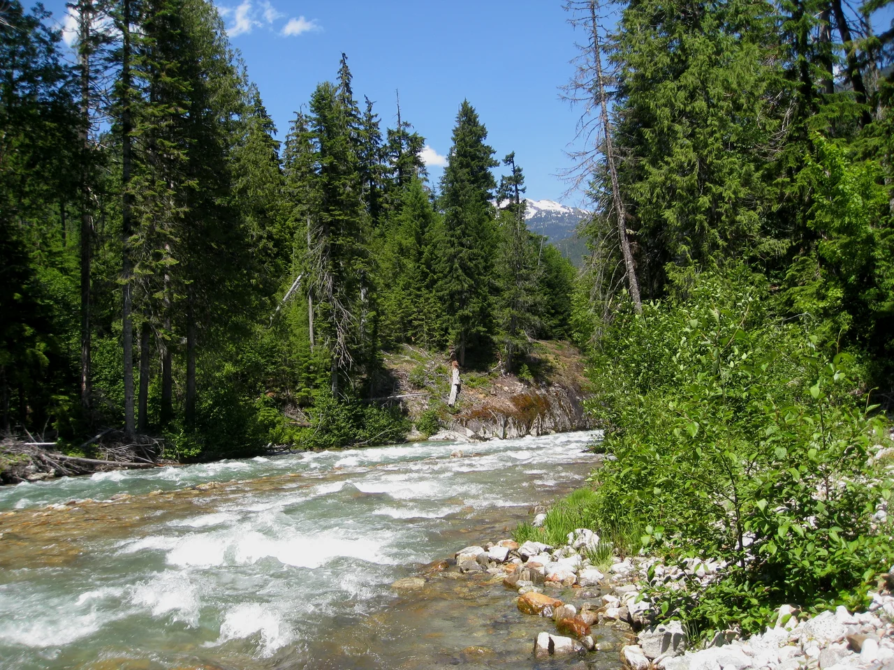This creek seems more like a river to me!
Thunder Creek Trail
North Cascades National Park
Skagit County, Washington, USA
Elevation about 600 meter (1970 feet)
