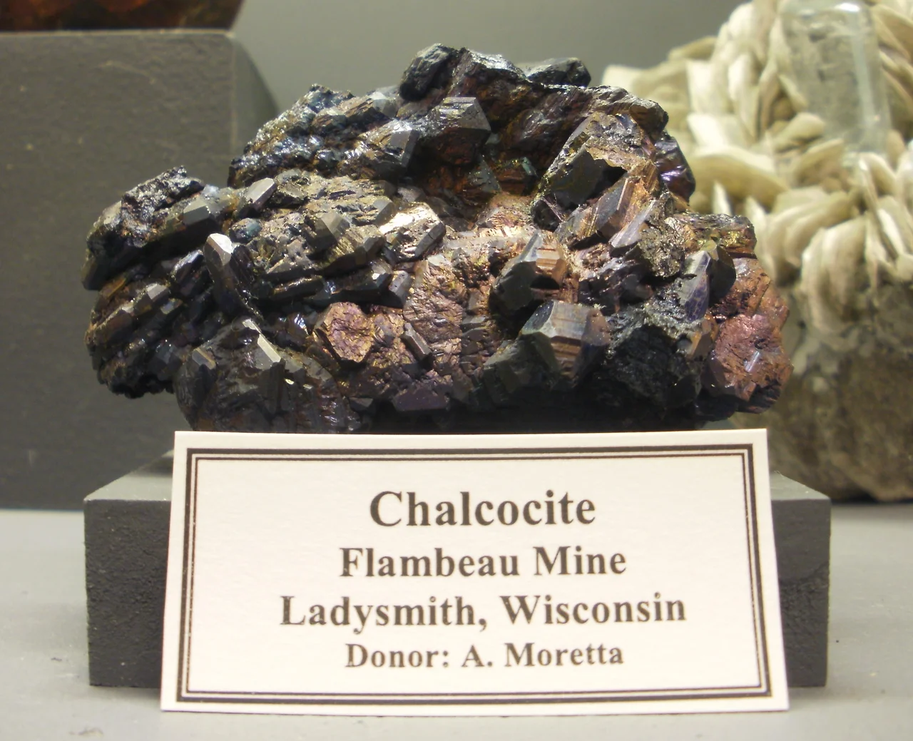 Chalcocite from the  Flambeau Mine, Ladysmith, Wisconsin. Held in the A. E. Seaman Mineral Museum.