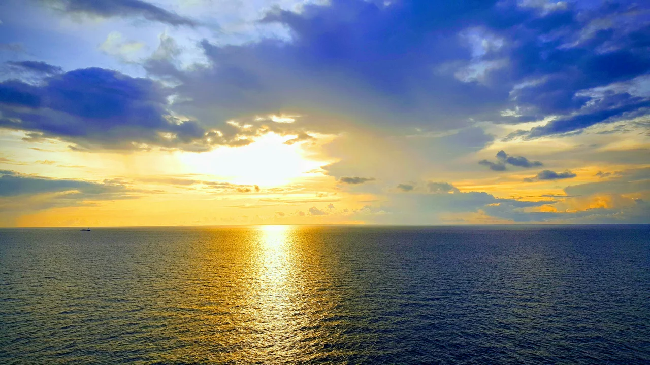 August 2019