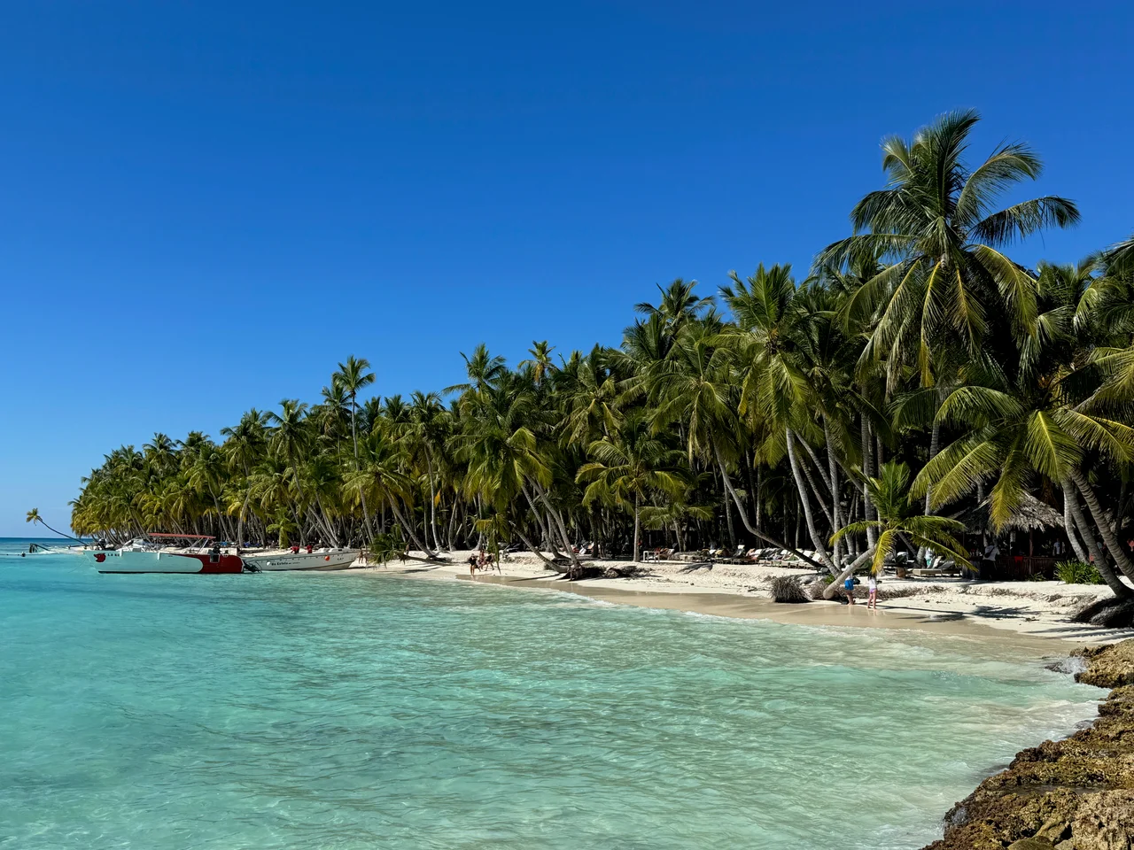 Panoramic view of a beach on the Saona island, Dominican Republic. Taken by Tamas Iklodi