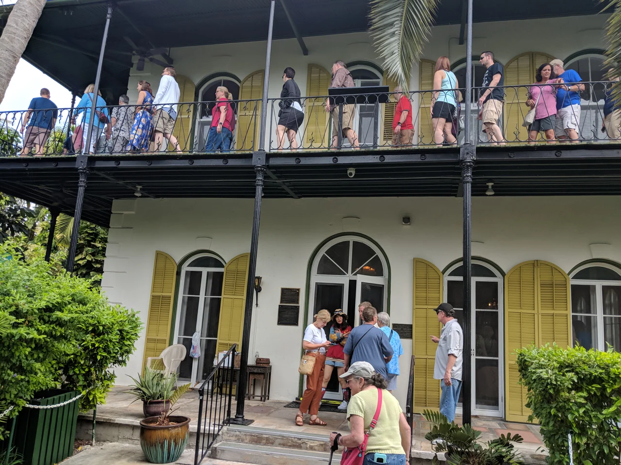 Ernest Hemingway's house- Key West, FL.