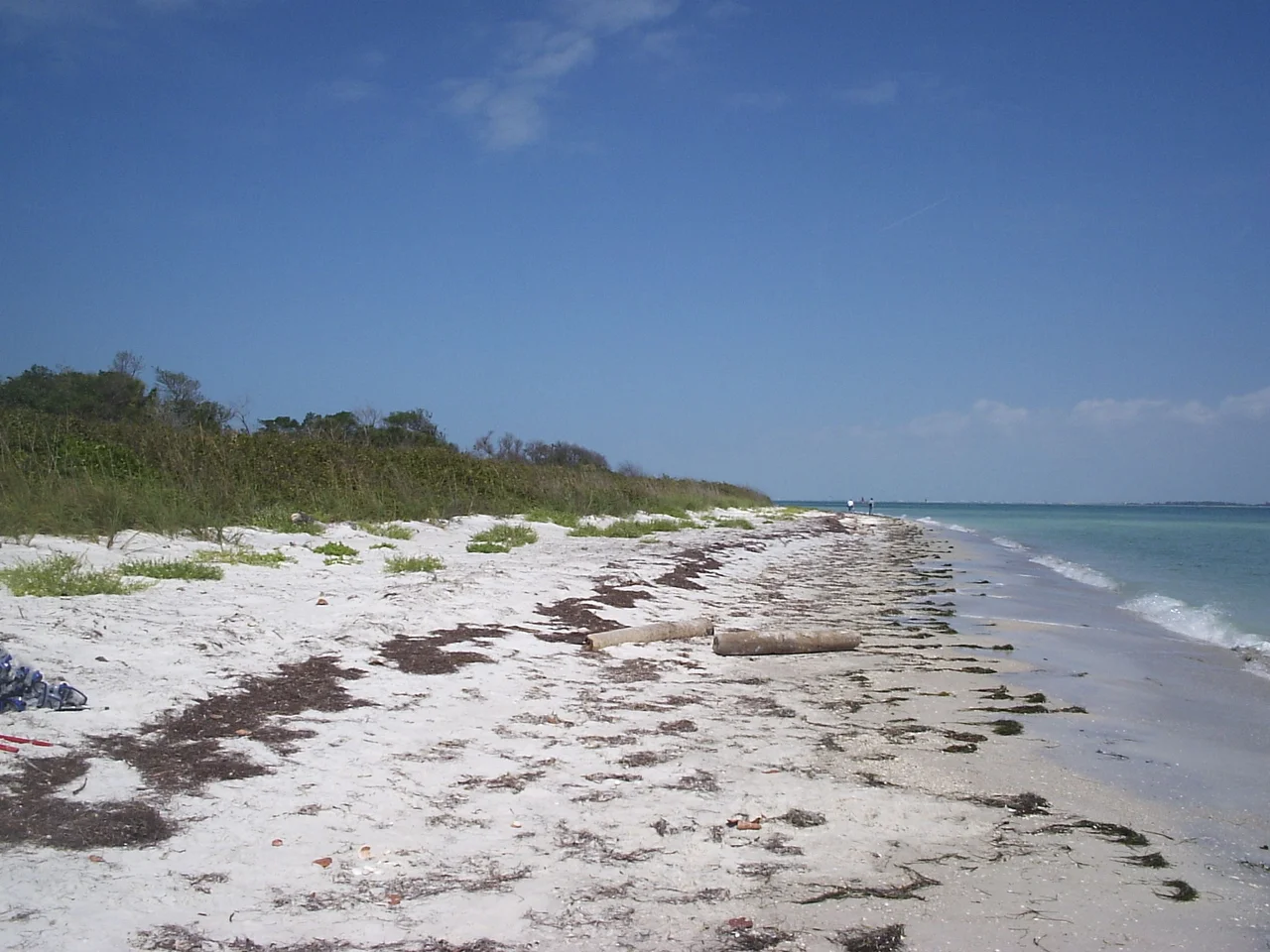 Taken by me at Egmont Key State Park, Florida on March 16, 2006, using an Olympus Camedia D-395 digital camera .  CC-BY-SA-2.5. Looking north along eastern beach of Egmont Key.Mikereichold 23:19, 16 March 2006 (UTC)