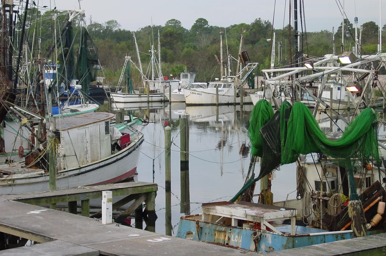 Scope and content: The original finding aid described this photograph as:
Original Caption: Boats line the Apalachicola docks along the beautiful Apalachicola River.
Location: Apalachicola River, Florida
Status: Public domain. Diane Delaney