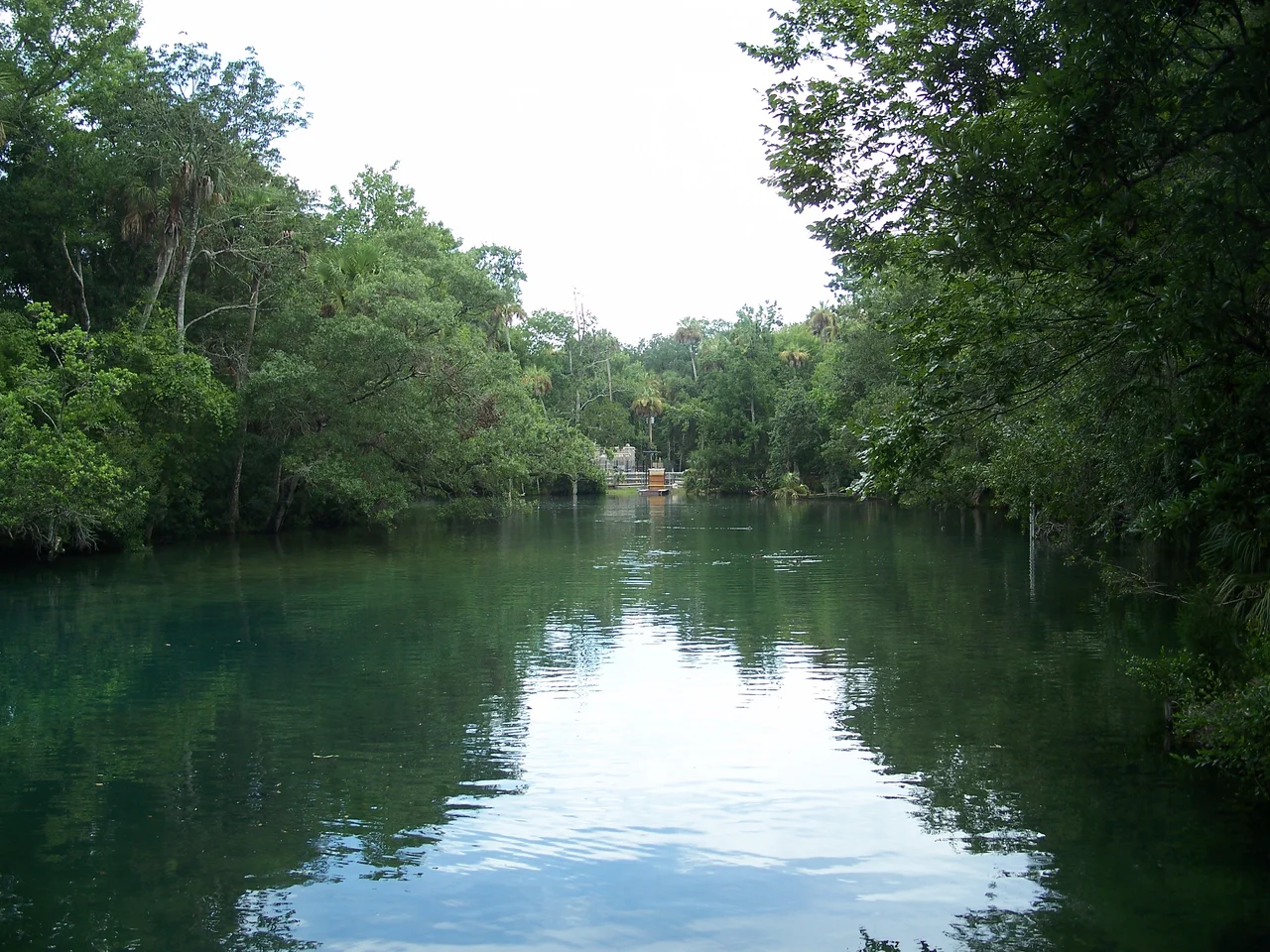 Homosassa Springs, Florida: Homosassa Springs Wildlife State Park: 

River or stream in the park