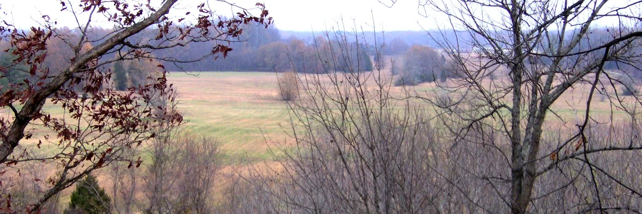 View from atop Sauls' Mound (looking east) at Pinson Mounds State Archaeological Area in Madison County, Tennessee, located in the Southeastern United States. Sauls' Mound is the second-highest prehistoric mound in the U.S. The view is roughly in the direction of the Summer solstice sunrise.