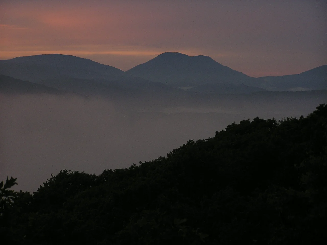 Snake Sunset.jpg