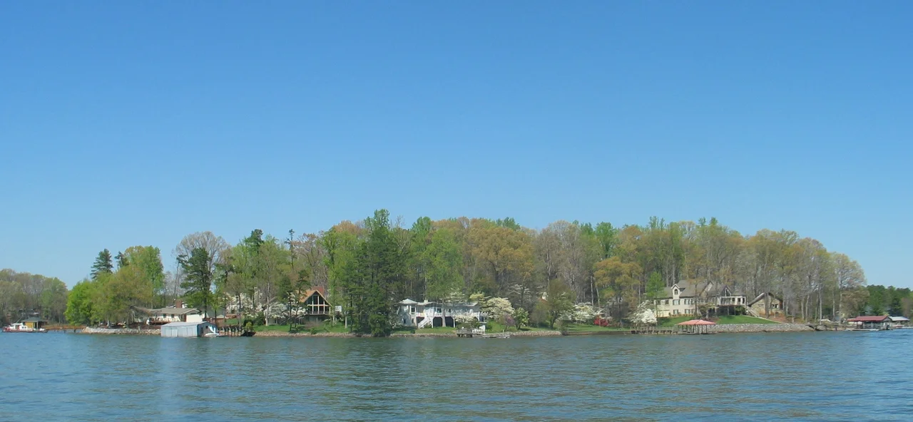 This image shows a coastline as it is usually found at Lake Norman