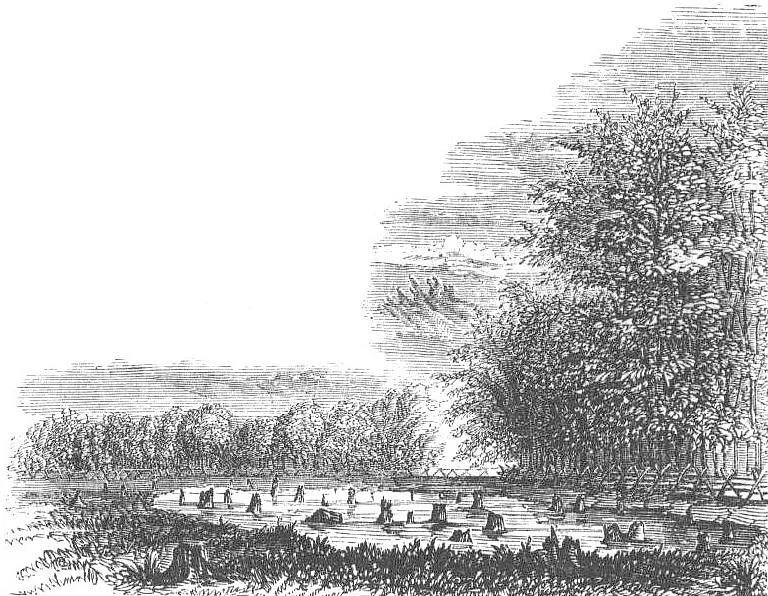 Pyles pond.JPG