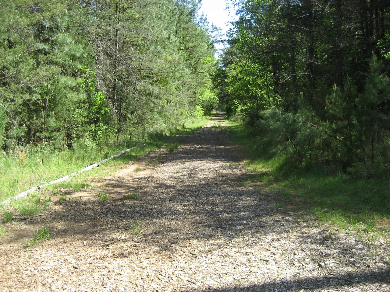 Straightaway of the Occoneechee Speedway taken from the start/finish line.