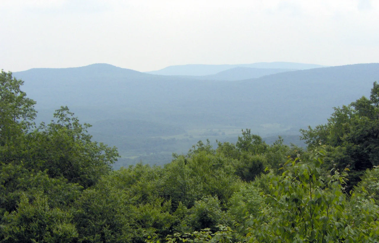 Overview of Cranberry Glades and Cranberry Wilderness, Monongahela National Forest, West Virginia