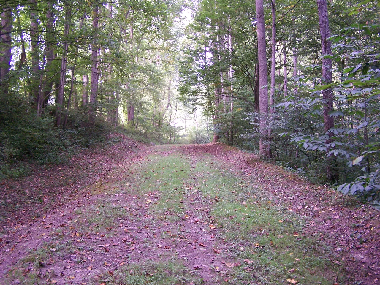 Weston and Gauley Bridge Turnpike protected at w:Bulltown, West Virginia near w:Burnsville Lake.