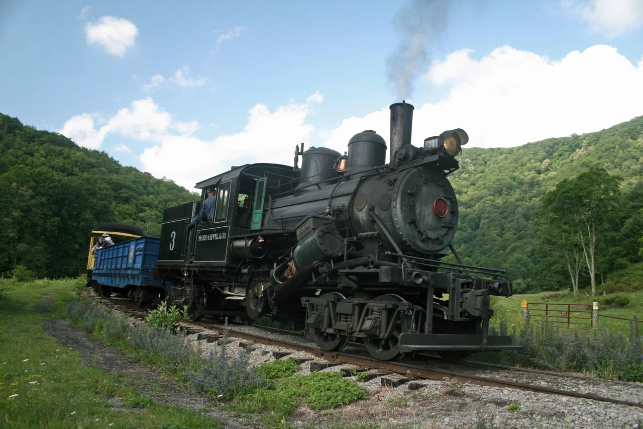 The engine is in reverse as you can see by observing which direction the engineer is looking.